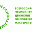 Чемпионат «Профессионалы» - Соцзащита населения по Дубенскому